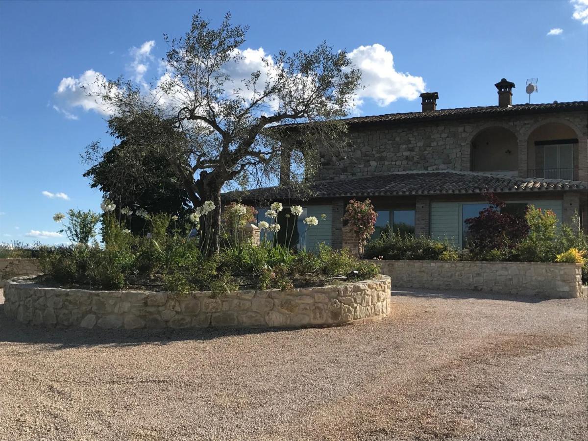 Agriturismo Fattoria Di Monticello San Venanzo Exterior foto